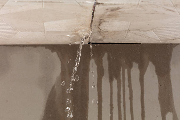 Professional Flood Damage Cleanup technician working in Farmington, AR